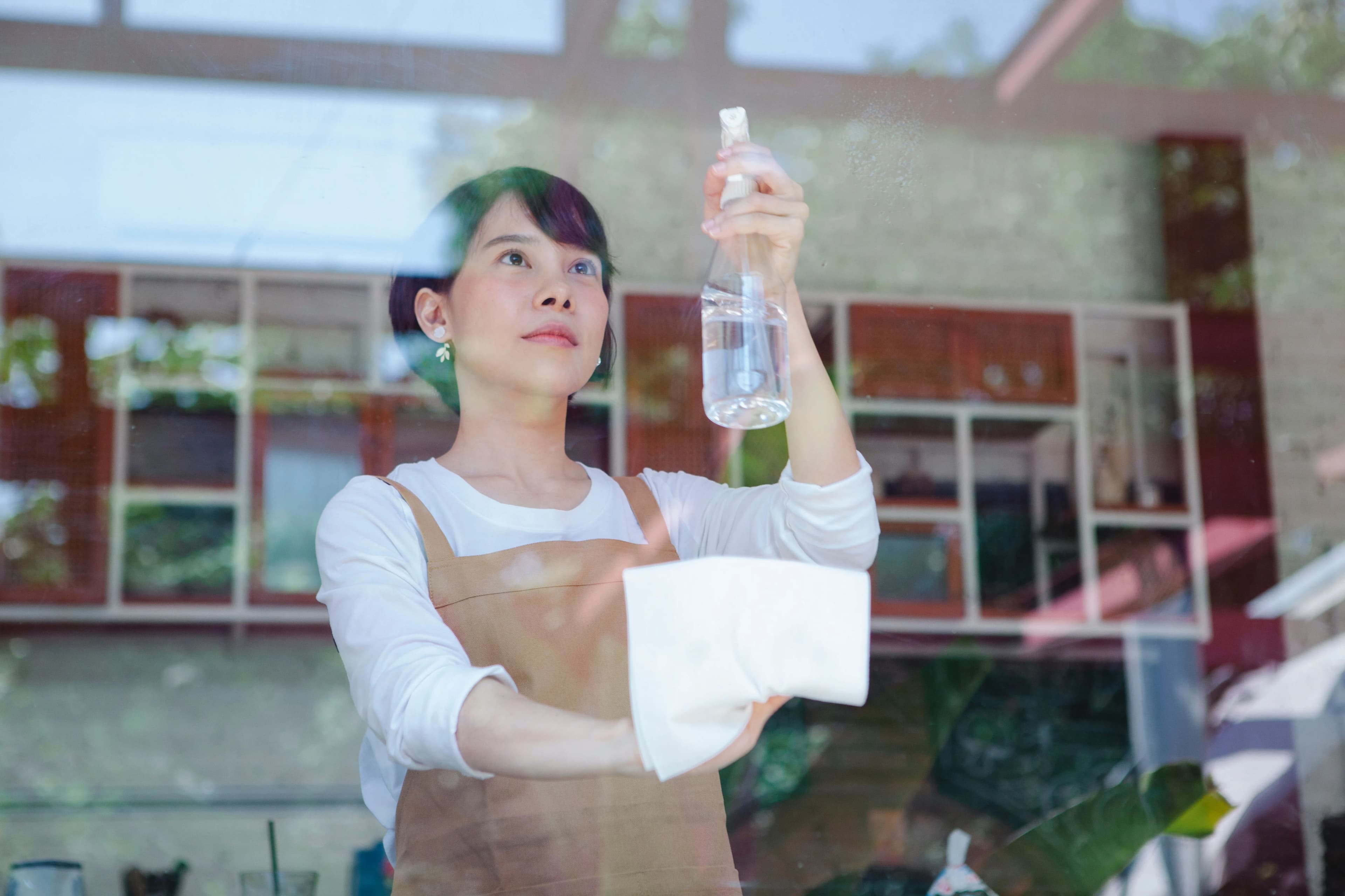 Cleaning service profesional